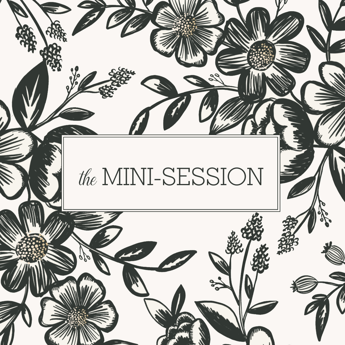 the-mini-session